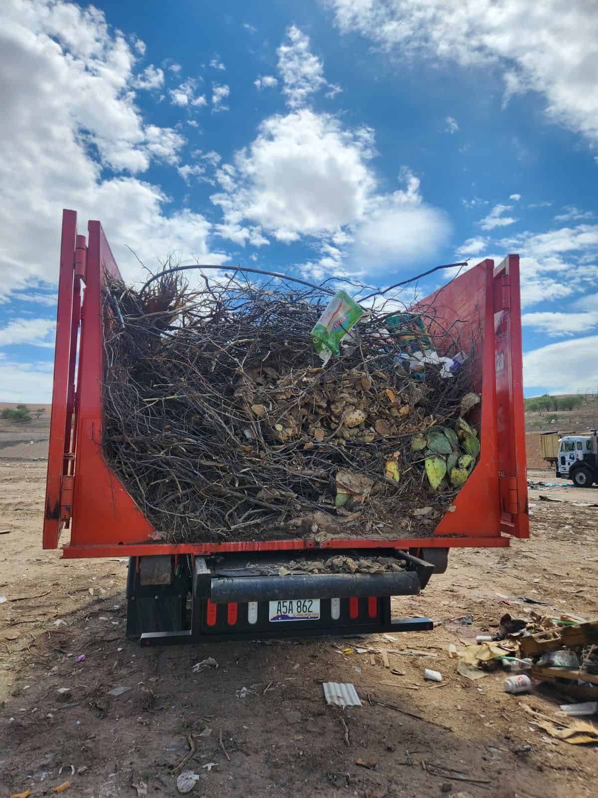 Yard Waste Removal image
